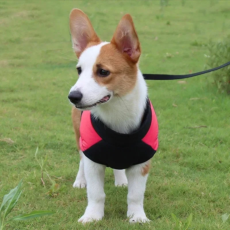Waterproof Warm Dog Clothing for Small Medium & Big Dogs with Zipper