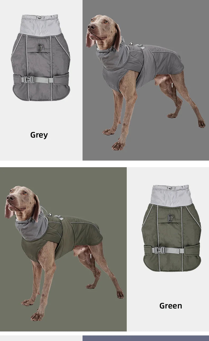 Luxury Winter Jacket for Small Medium Large Dogs Warm, Waterproof & Soft Padded