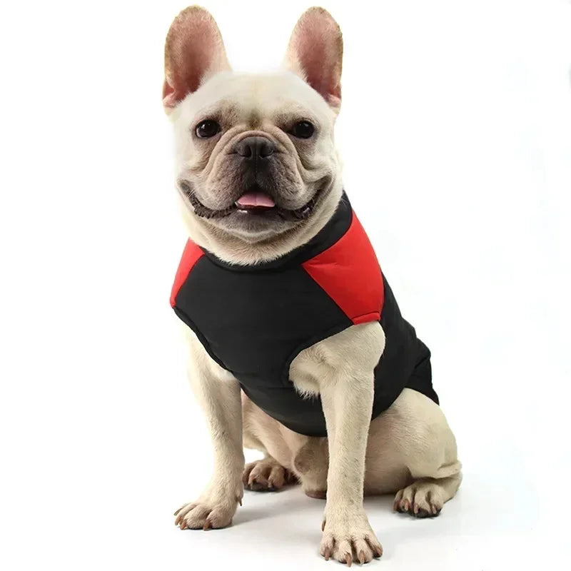 Waterproof Warm Dog Clothing for Small Medium & Big Dogs with Zipper