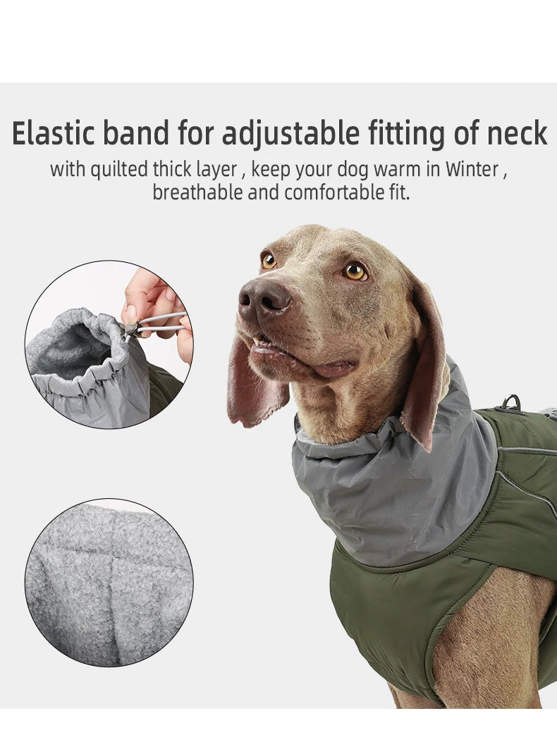 Luxury Winter Jacket for Small Medium Large Dogs Warm, Waterproof & Soft Padded