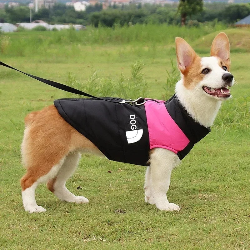 Waterproof Warm Dog Clothing for Small Medium & Big Dogs with Zipper