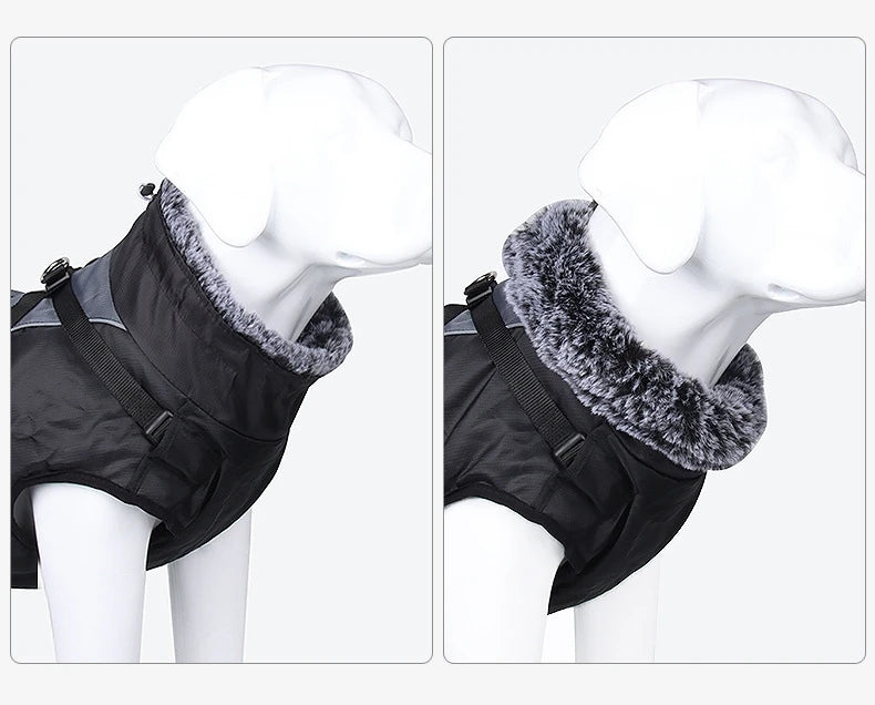 Winter Warm Outdoor Dog Jacket Waterproof & Windproof