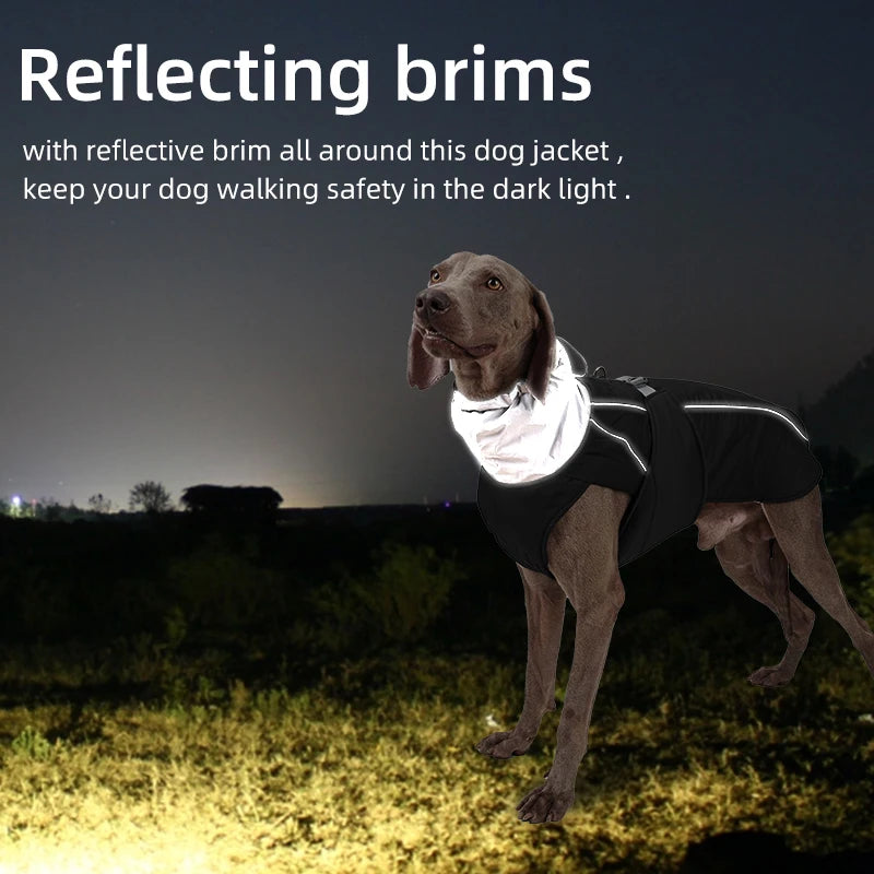 Luxury Winter Jacket for Small Medium Large Dogs Warm, Waterproof & Soft Padded