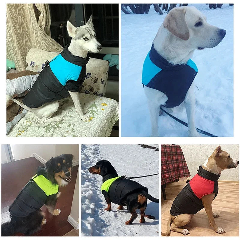 New Waterproof Big Dog Winter Warm Jacket