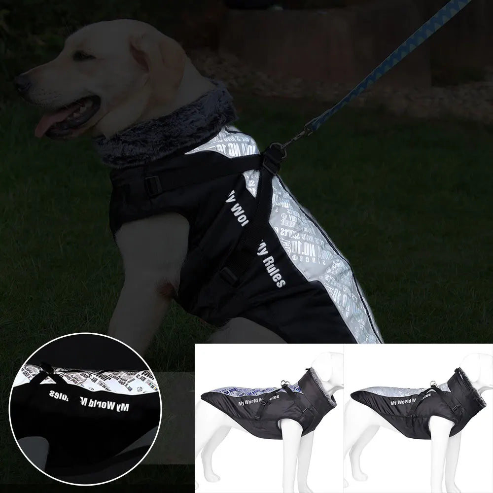 Winter Warm Outdoor Dog Jacket Waterproof & Windproof
