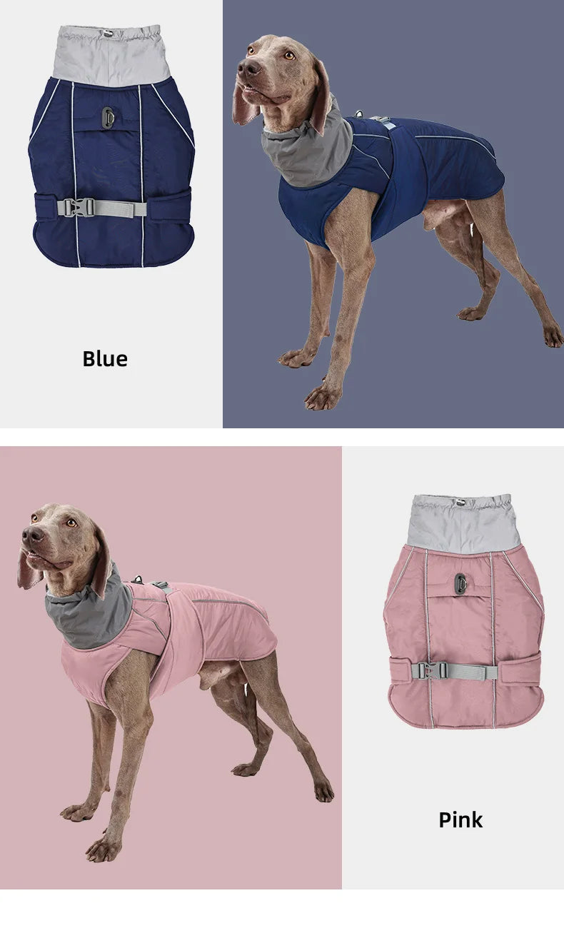 Luxury Winter Jacket for Small Medium Large Dogs Warm, Waterproof & Soft Padded