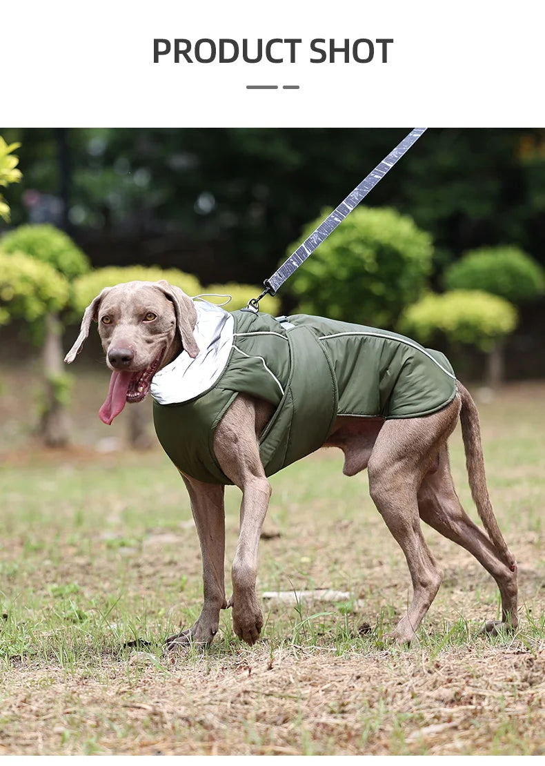 Luxury Winter Jacket for Small Medium Large Dogs Warm, Waterproof & Soft Padded