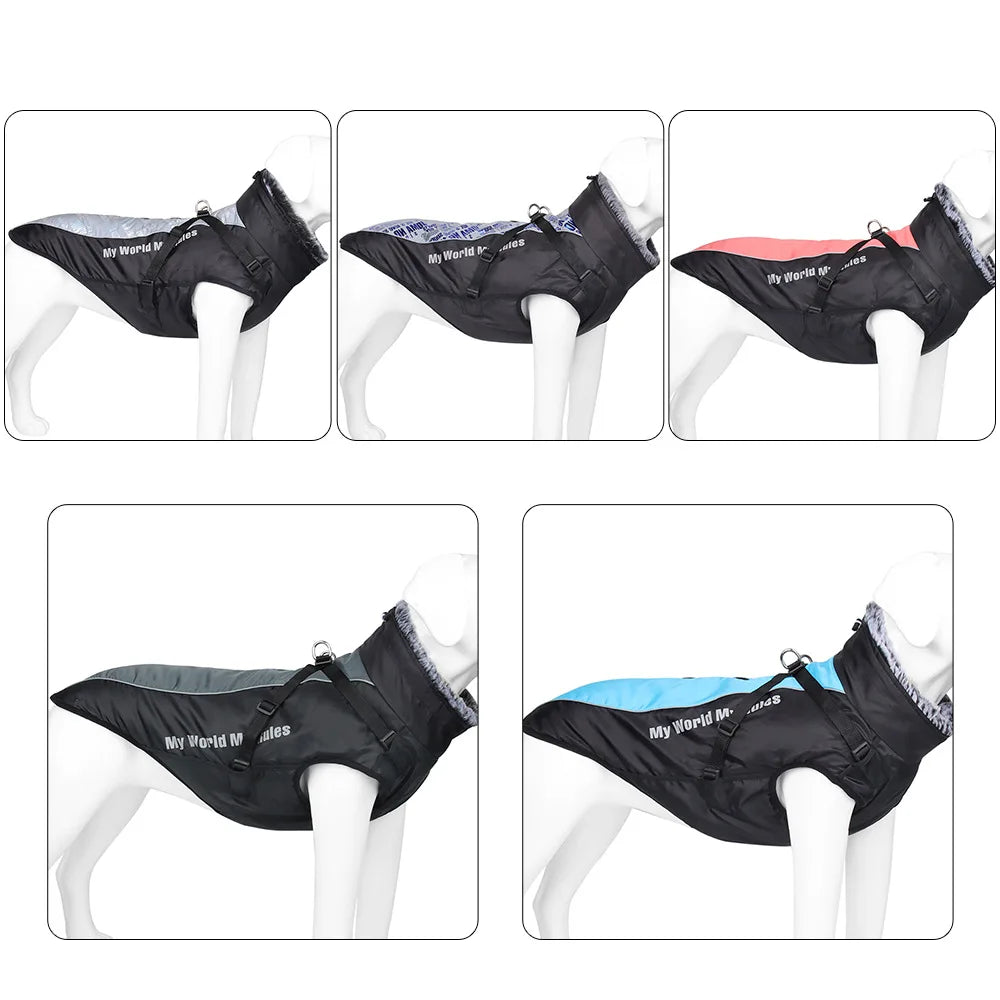 Winter Warm Outdoor Dog Jacket Waterproof & Windproof