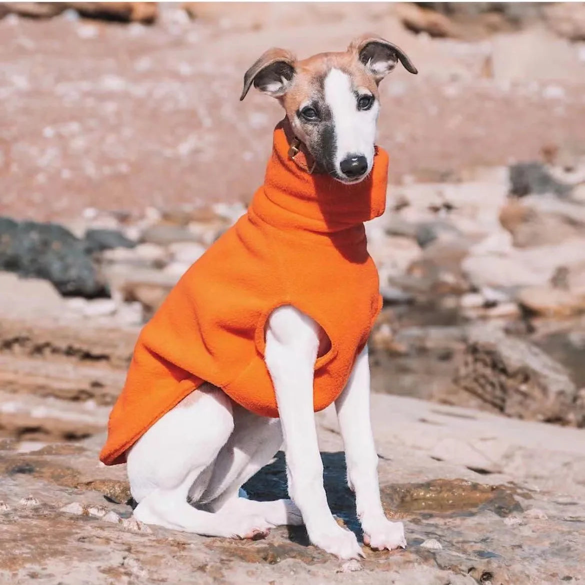 Soft Winter Fleece for Whippet & Italian Greyhound with Turtleneck