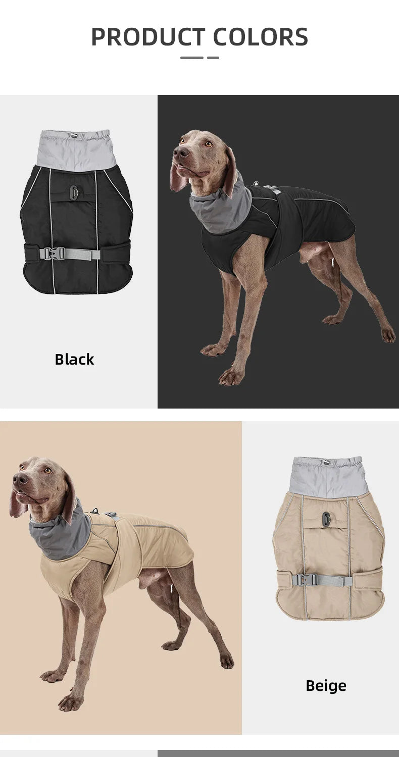 Luxury Winter Jacket for Small Medium Large Dogs Warm, Waterproof & Soft Padded