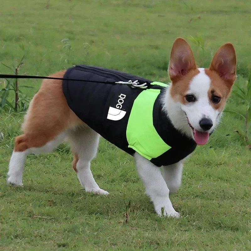 Waterproof Warm Dog Clothing for Small Medium & Big Dogs with Zipper