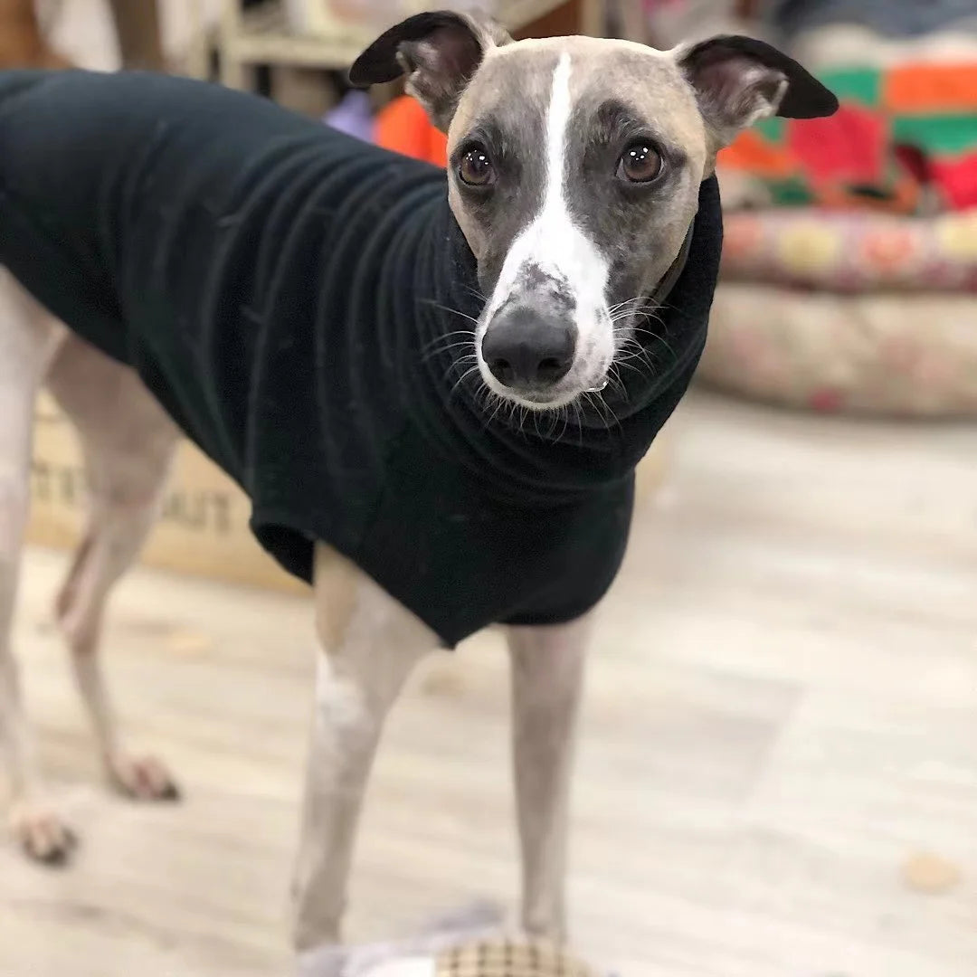 Soft Winter Fleece for Whippet & Italian Greyhound with Turtleneck