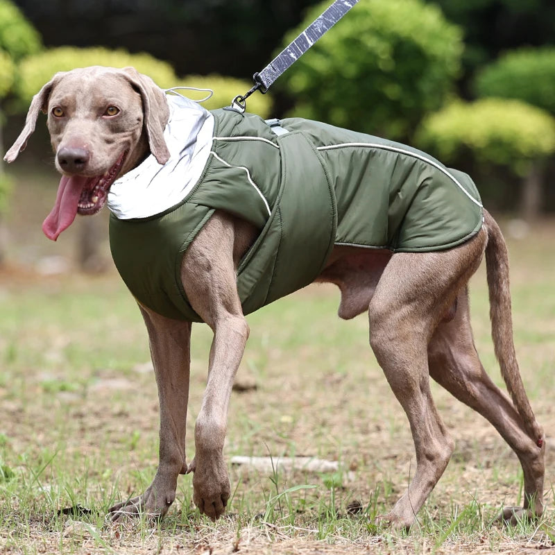 Luxury Winter Jacket for Small Medium Large Dogs Warm, Waterproof & Soft Padded