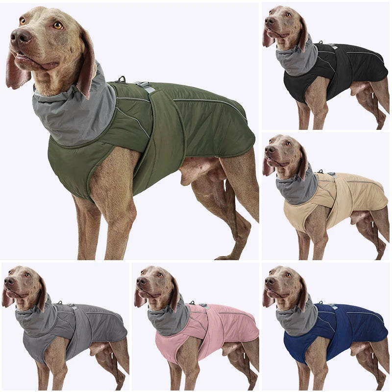 Luxury Winter Jacket for Small Medium Large Dogs Warm, Waterproof & Soft Padded