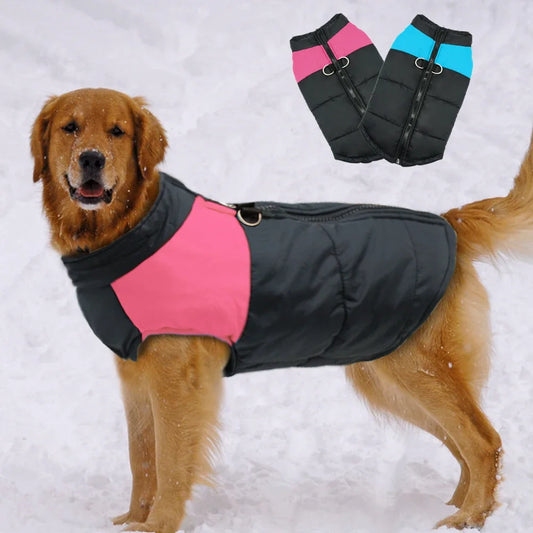 New Waterproof Big Dog Winter Warm Jacket