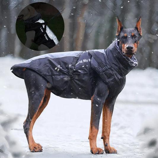 Winter Warm Outdoor Dog Jacket  Waterproof & Windproof