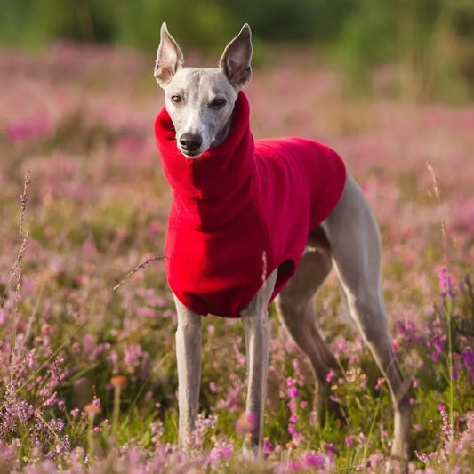 Soft Winter Fleece for Whippet & Italian Greyhound with Turtleneck