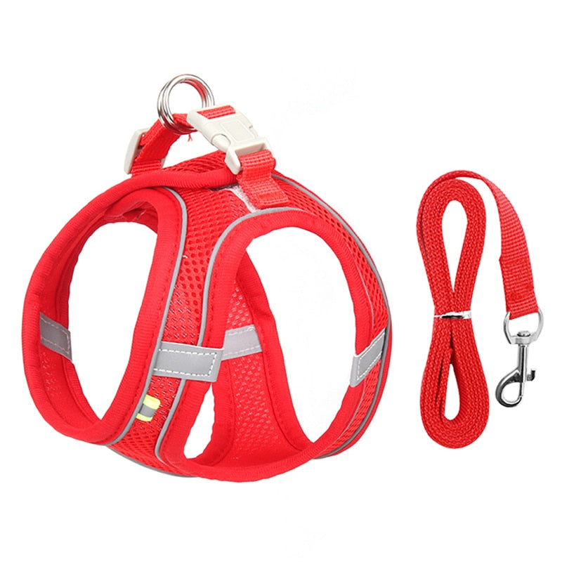 Adjustable And Comfortable Outdoor Dog Harness for small dogs